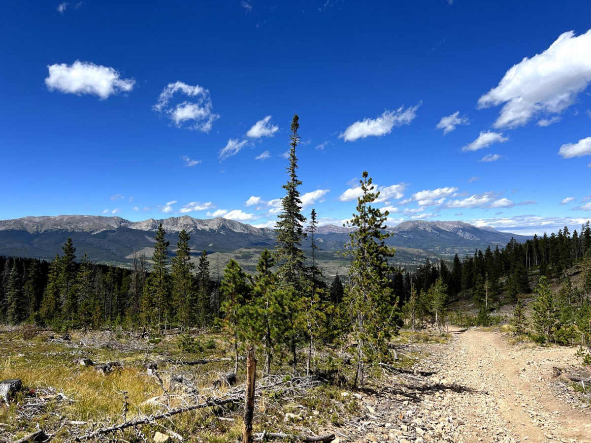 Summit Gulch (GH-74) trail photo