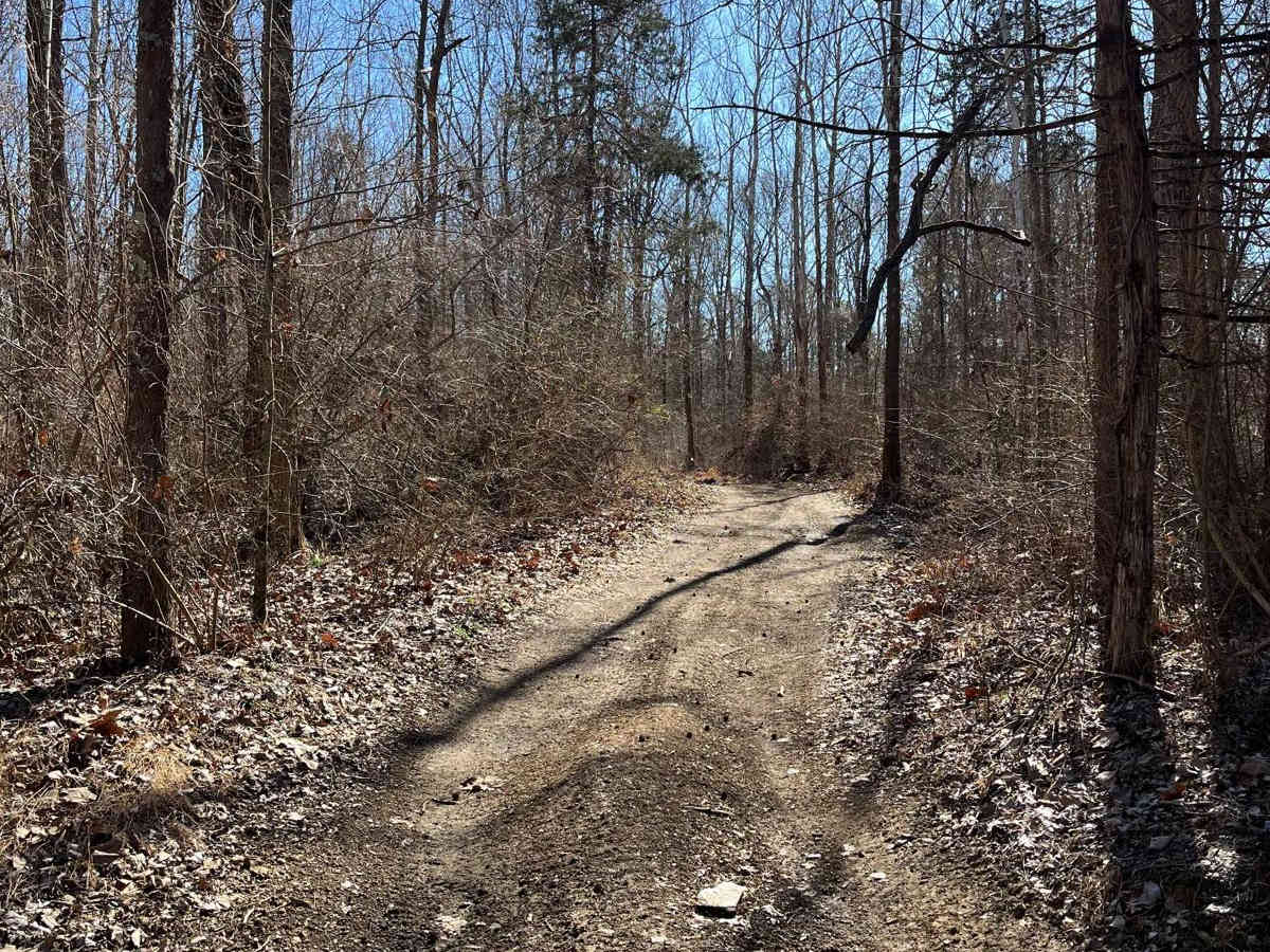 Amax Trail photo 2