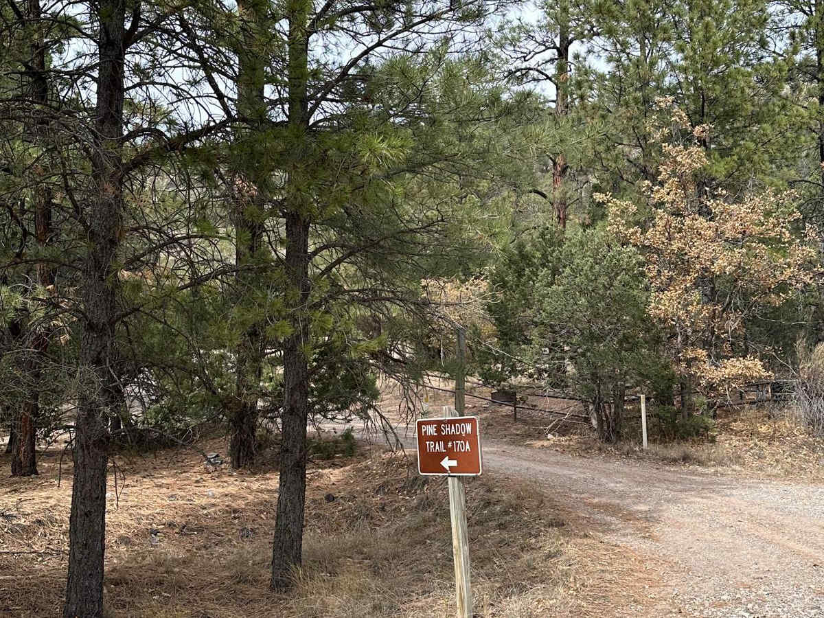 FS 422 Priest Canyon photo 5