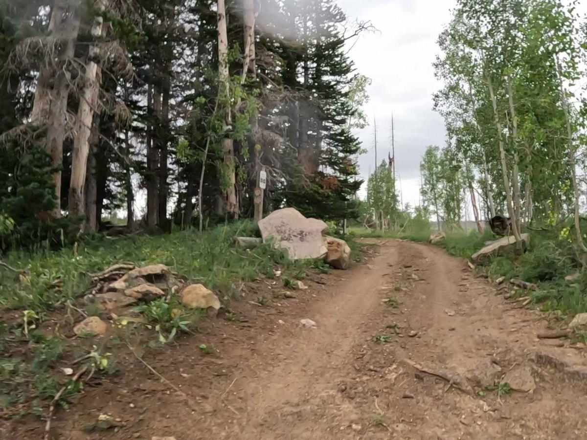 Shoemaker Flat photo 5