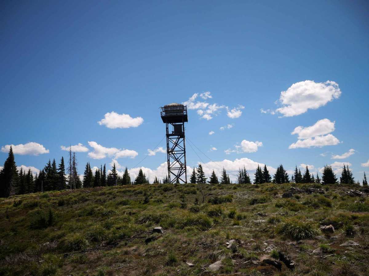 Junction Lookout trail photo