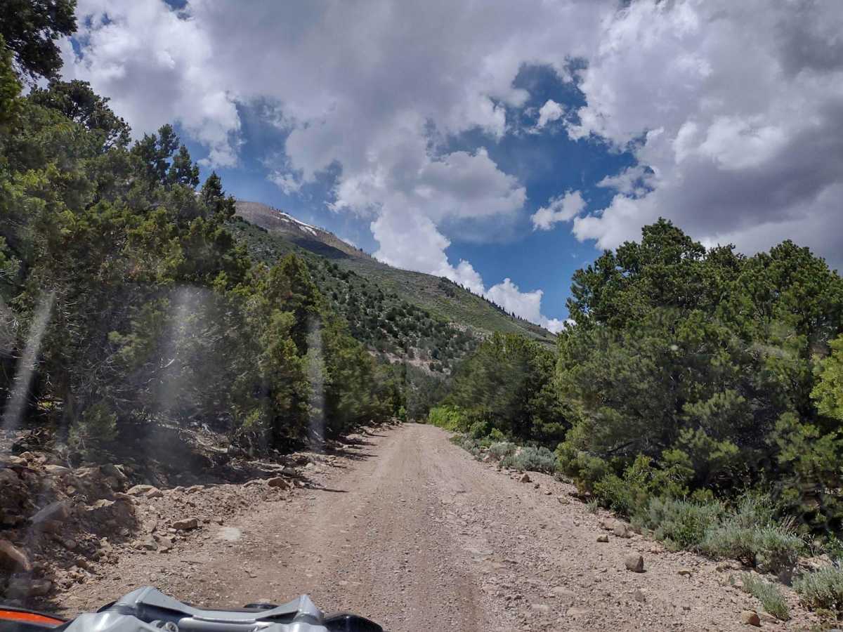 Cottonwood Road - Bullion Canyon Interconnect photo 6