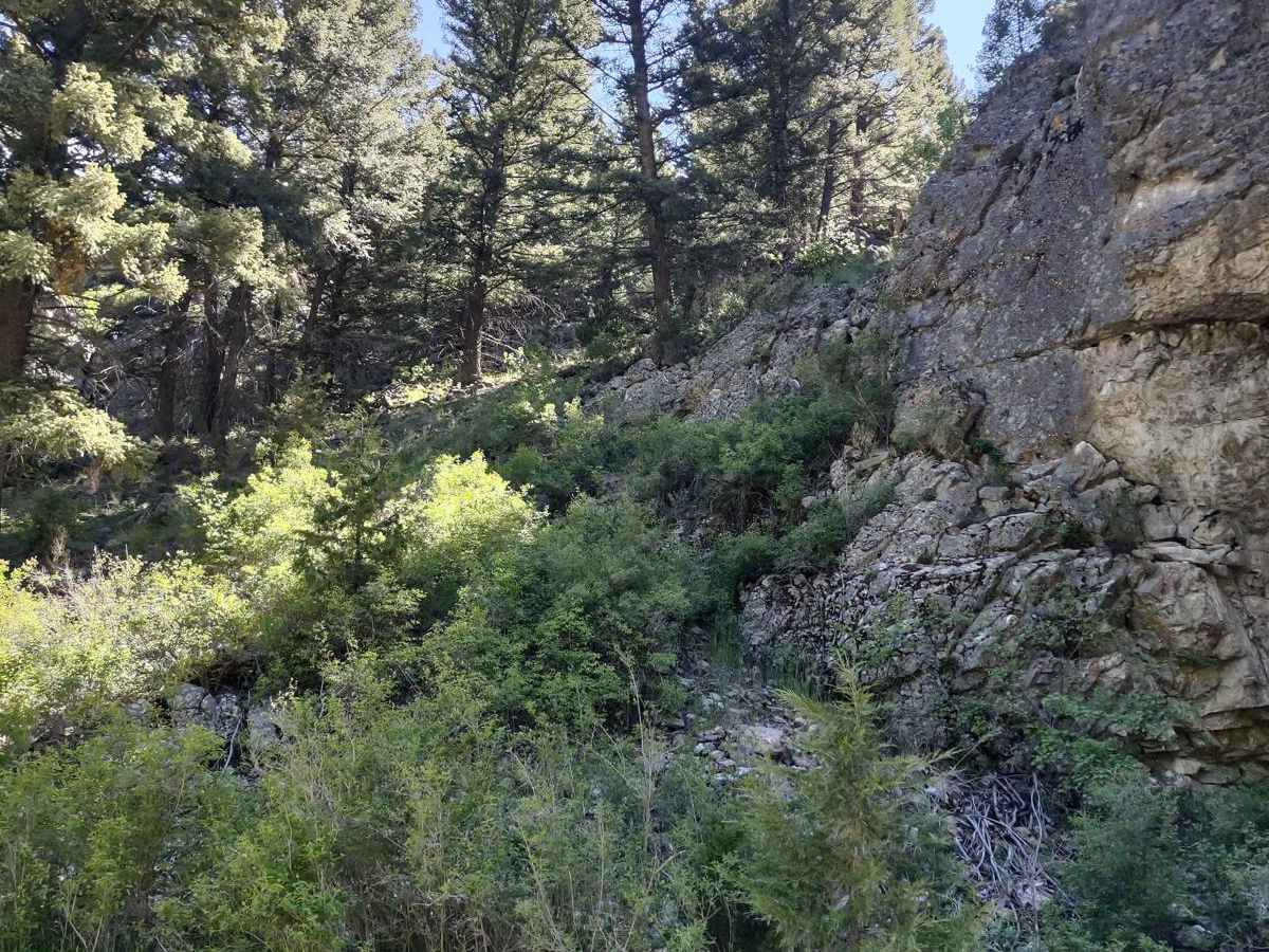 Radersburg Pass Loop photo 5