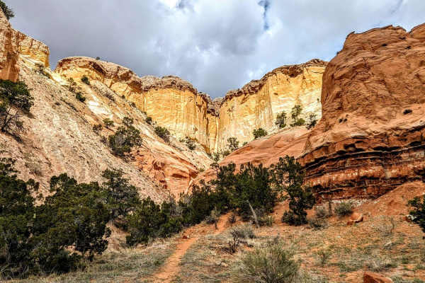 Chama Canyon Cliffside Loop