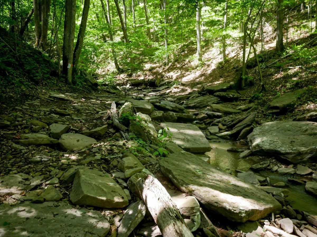 Trail 29 photo 3