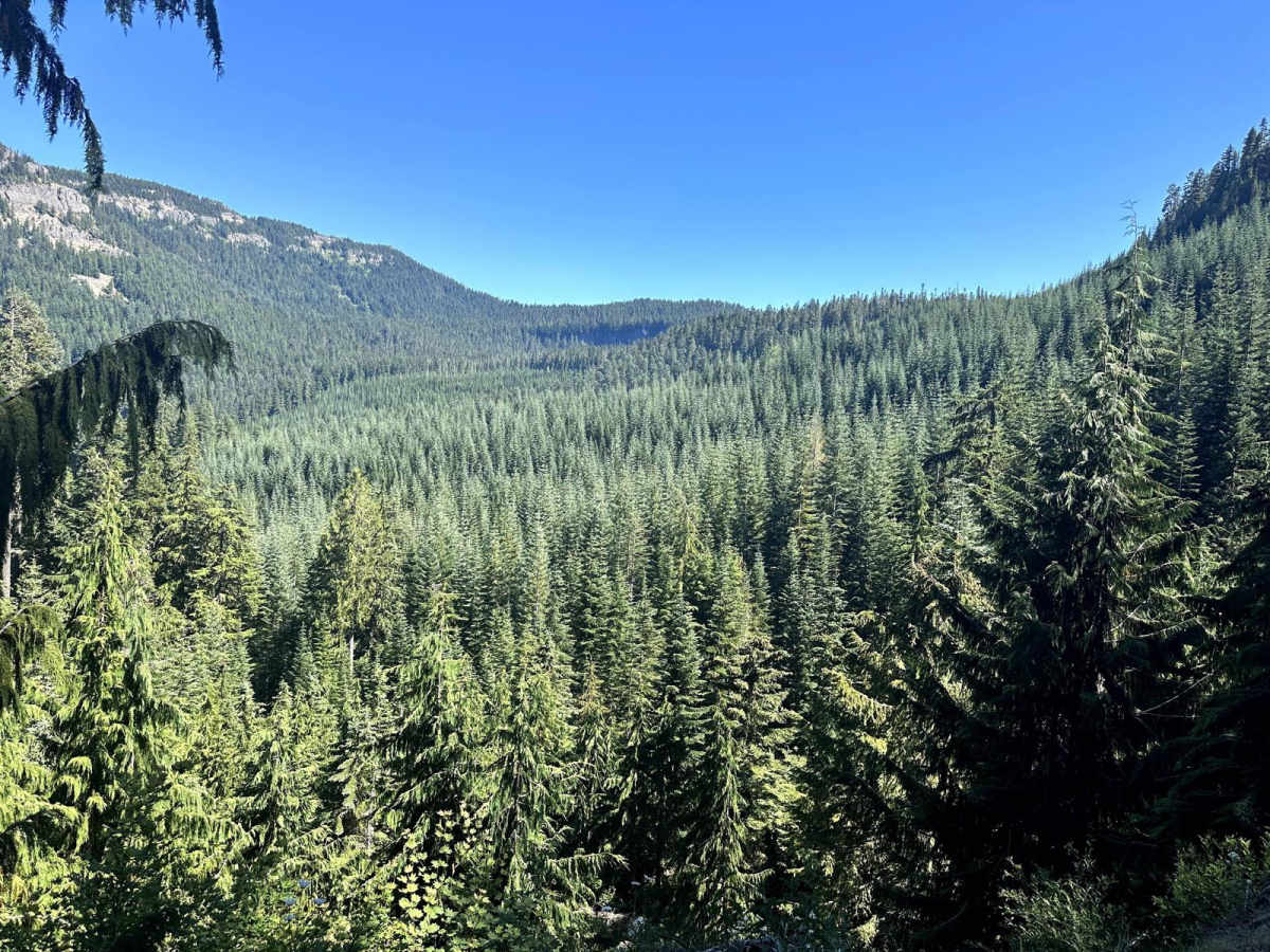 Smith Creek Road photo 4