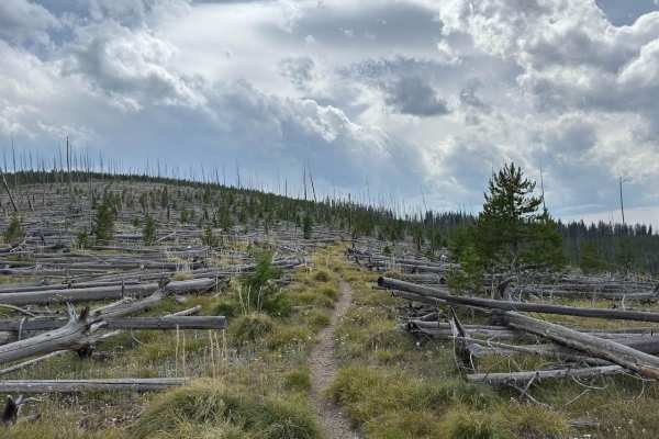 Andrews Creek Dirt Bike