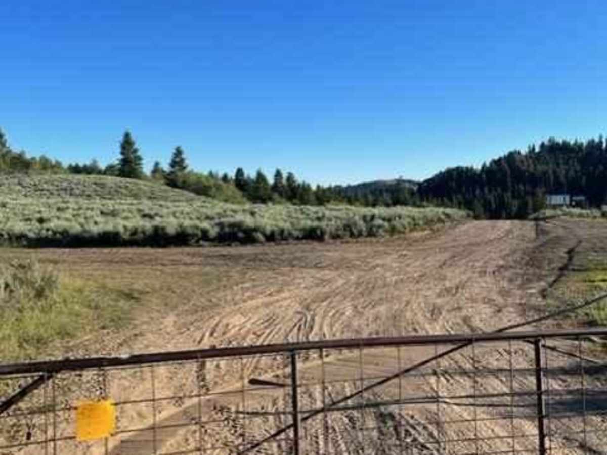 Ear Creek Road photo 4