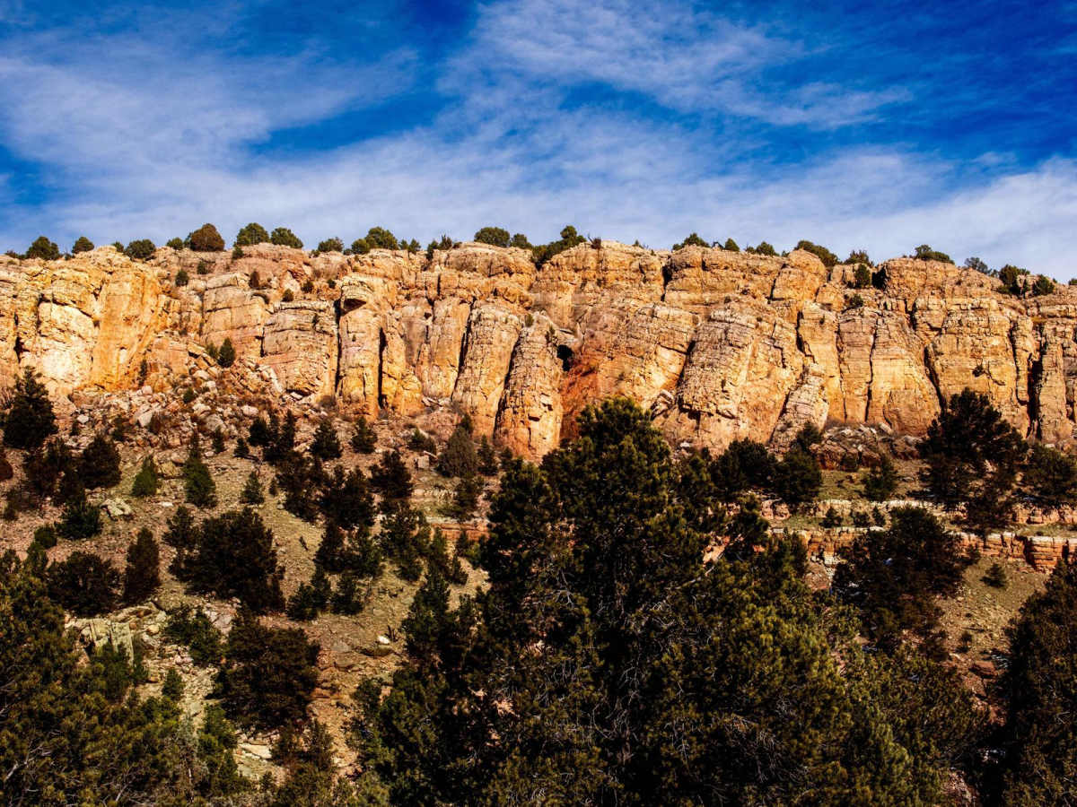 The Banks BLM Road 5820 photo 5