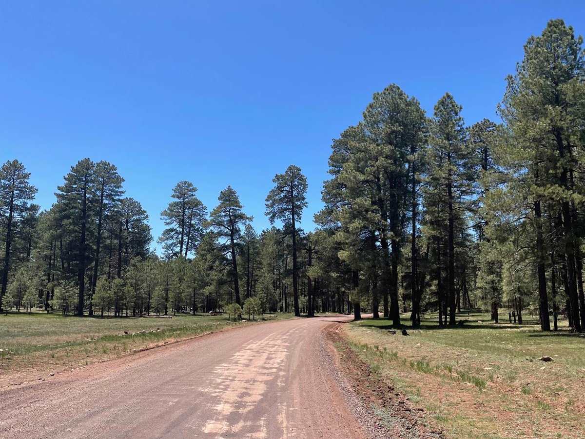 Stoneman Lake Road photo 6