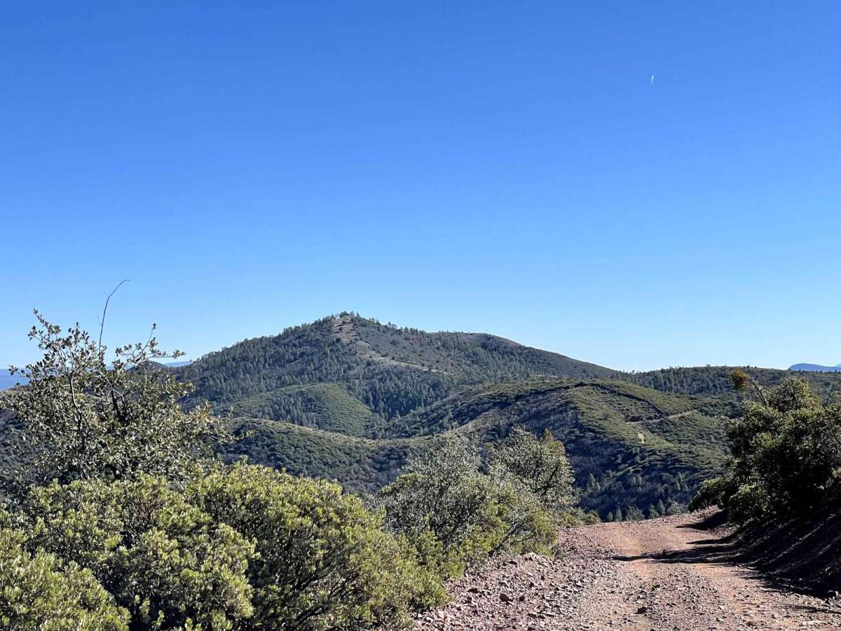 Mingus to Cherry Vista FSR 132 trail photo