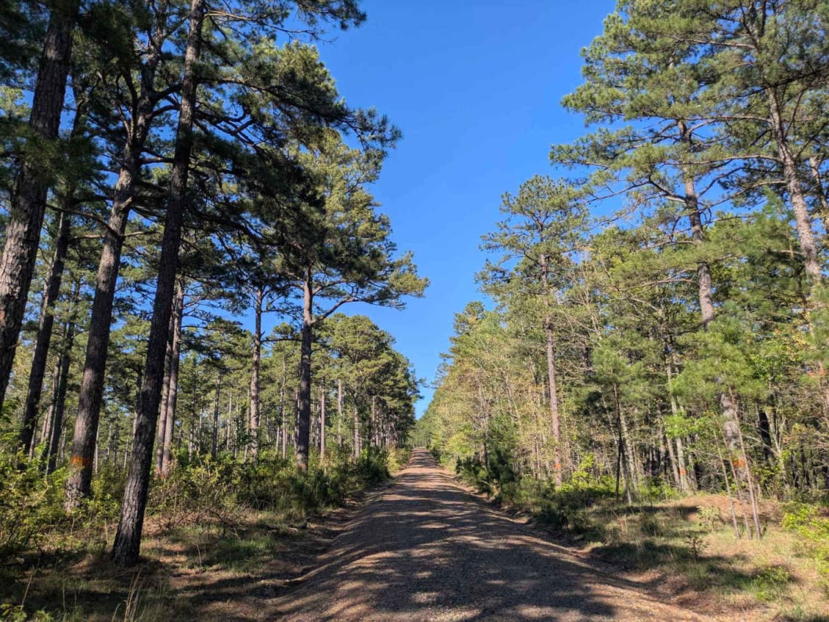 Terrapin Creek Road photo 2