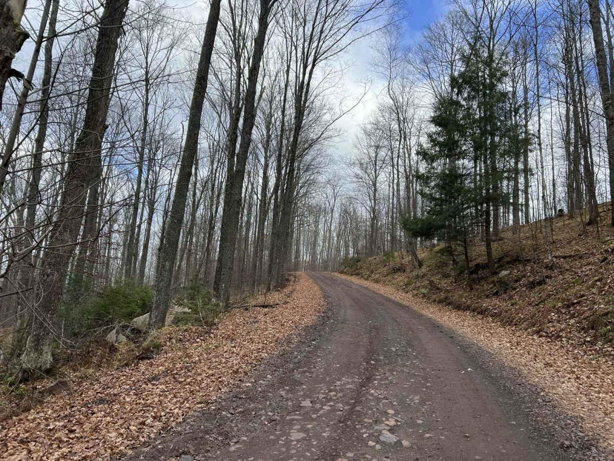 Florence County Trail H- Northwoods Drive trail photo