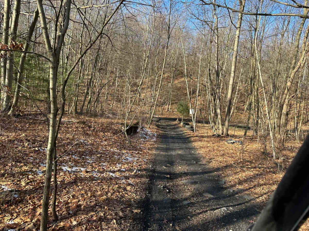 Locust Gap 10 photo 5