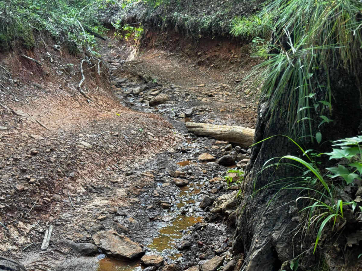 Spider Ravine photo 3