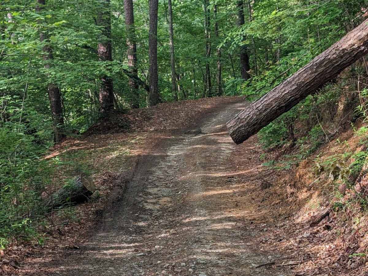 Chestnut Ridge Road/Auger Hole Road photo 3