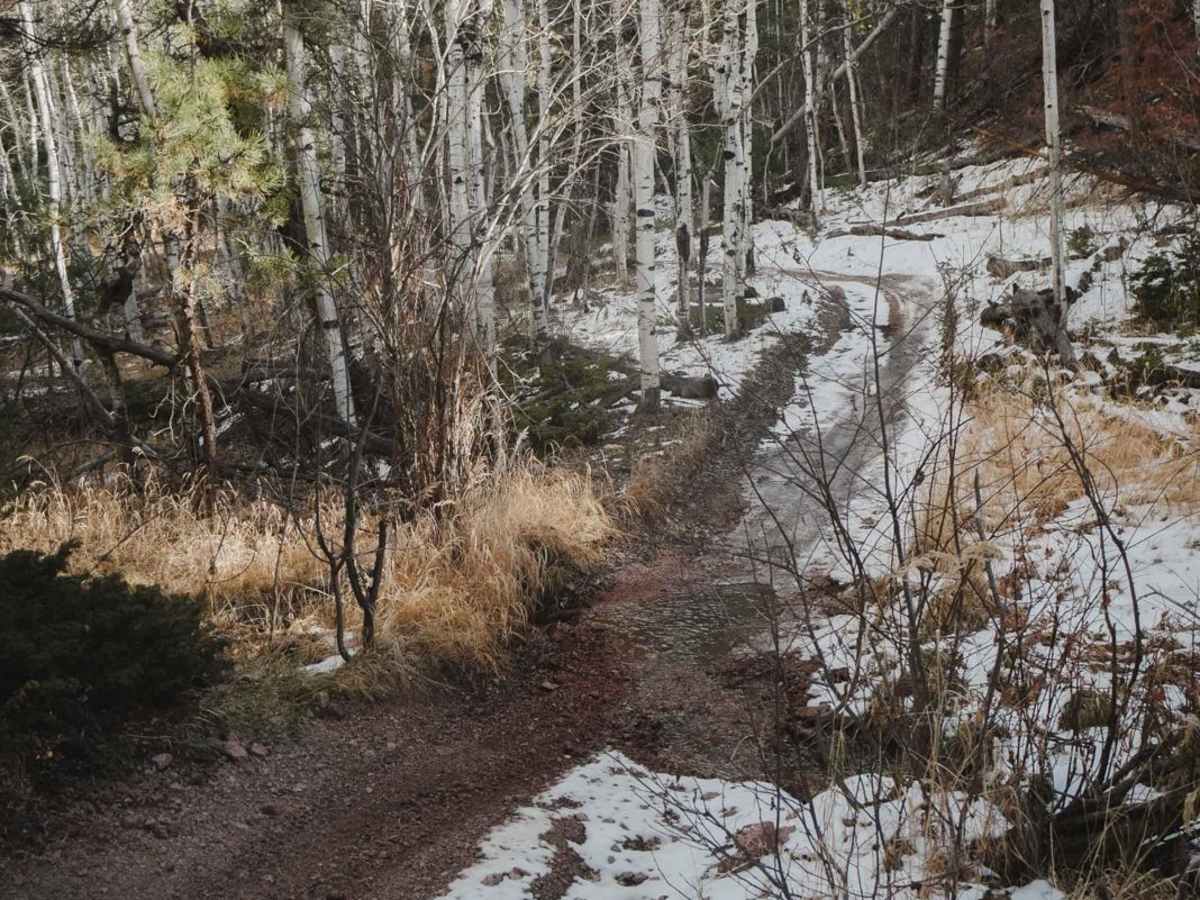 657 Gramps ATV Trail photo 6