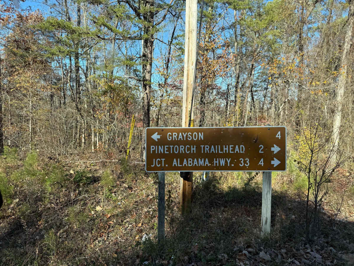 Mount Olive Road - FS 245 trail photo
