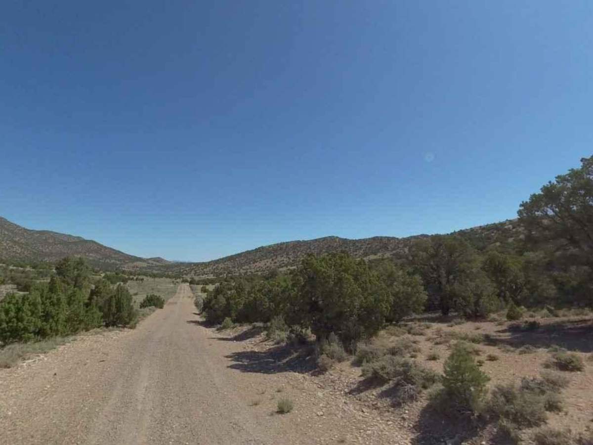 Conger Mountain OHV Route 5 trail photo