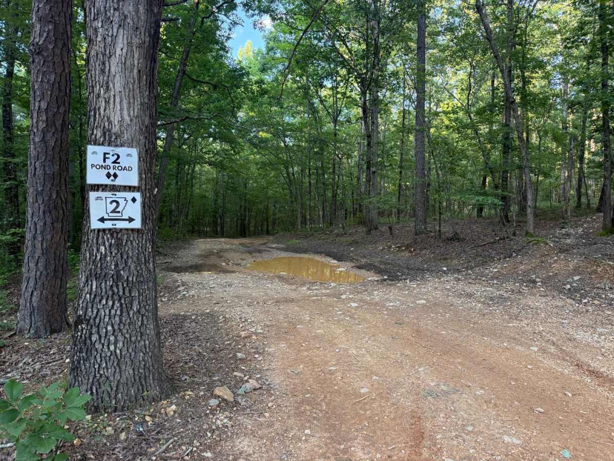 F2 Pond Road trail photo