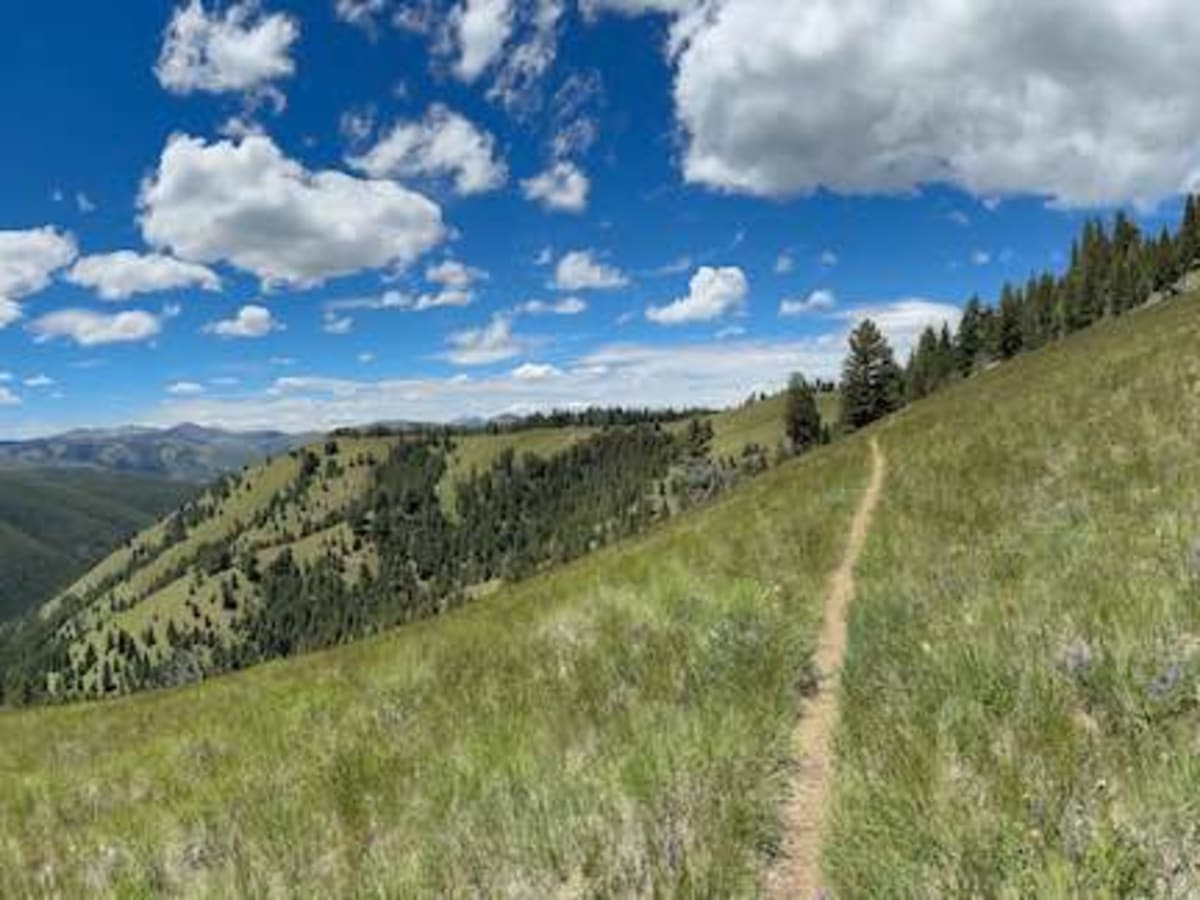 Warm Springs Ridge trail photo