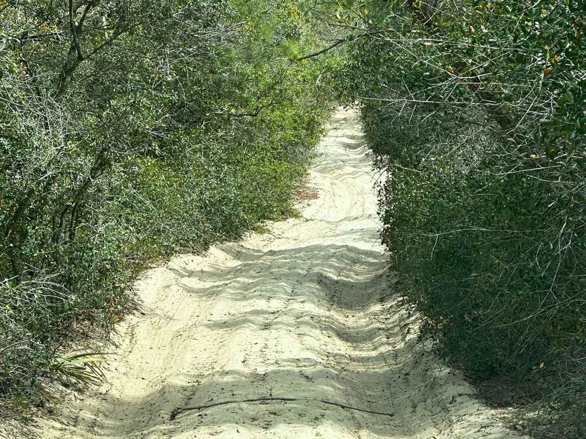 ONF Trail 17-2.6 photo 4