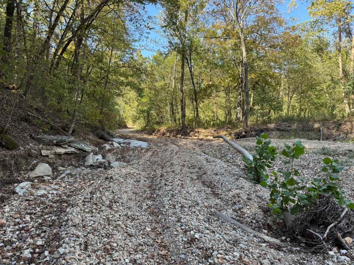 Creek Bed 12 photo 5