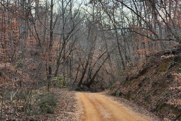 Tyler Ridge Road