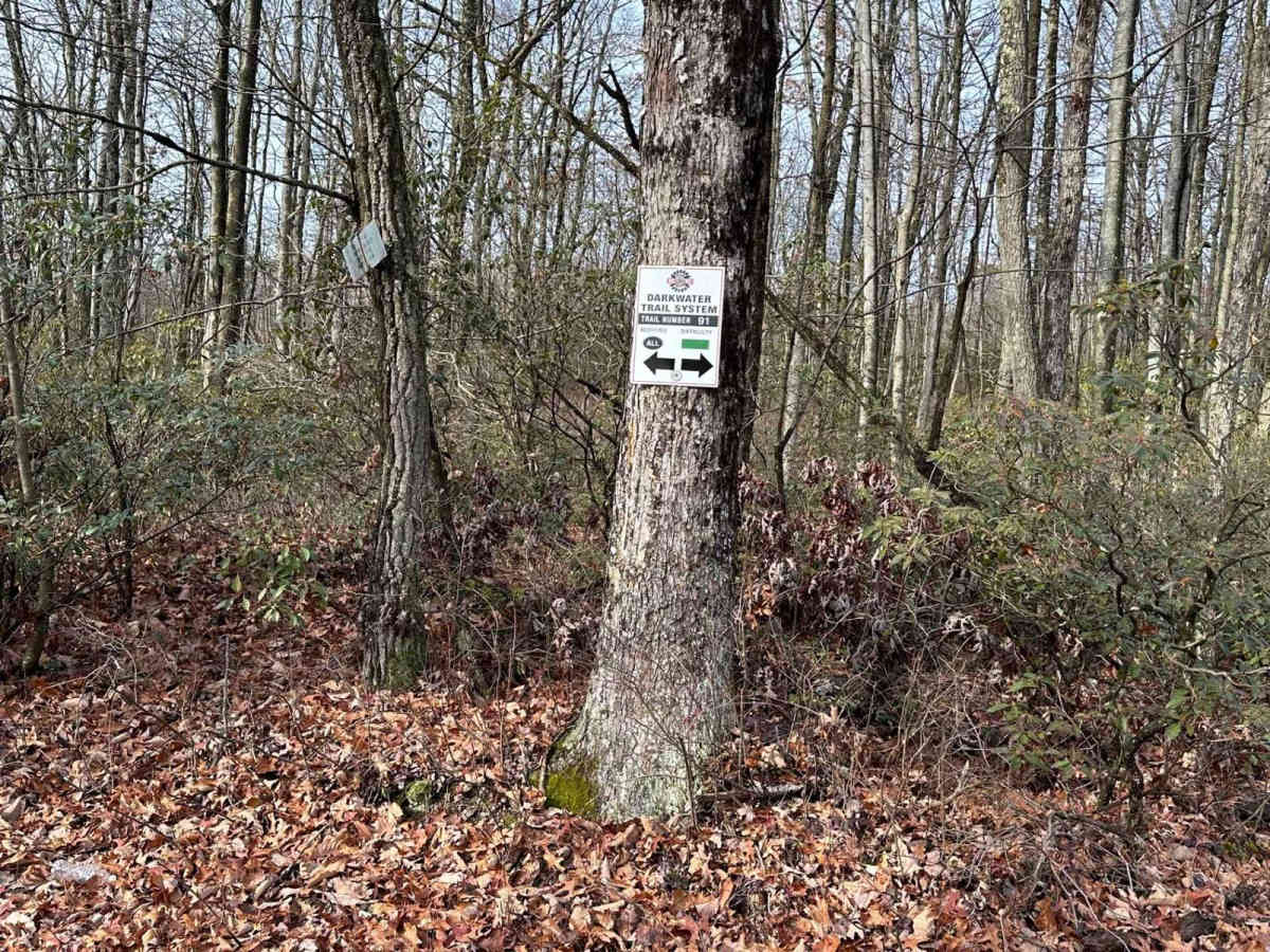 Darkwater 91 photo 3