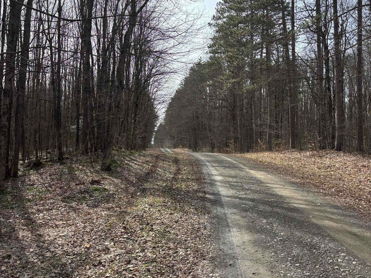 Old CCC Truck Trail photo 5