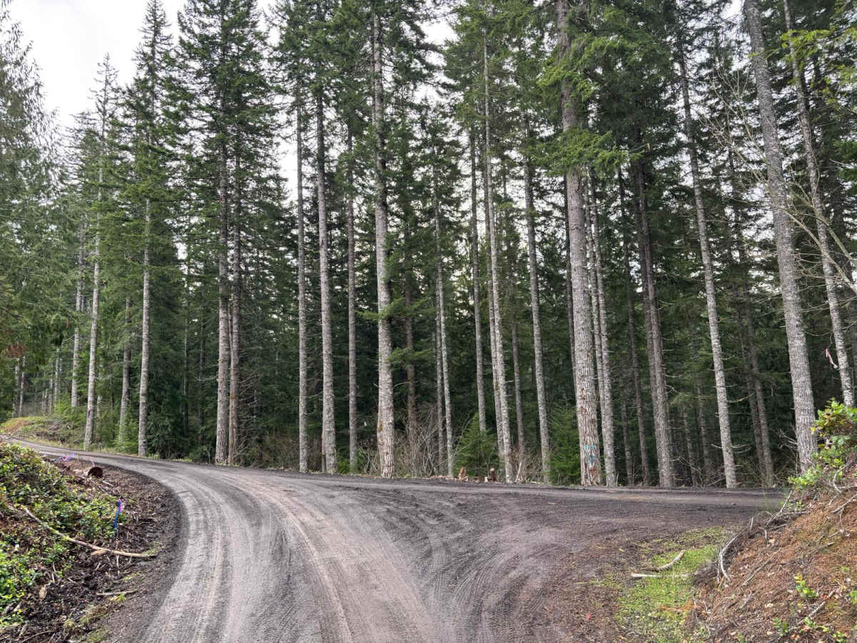 McGregor Road photo 4
