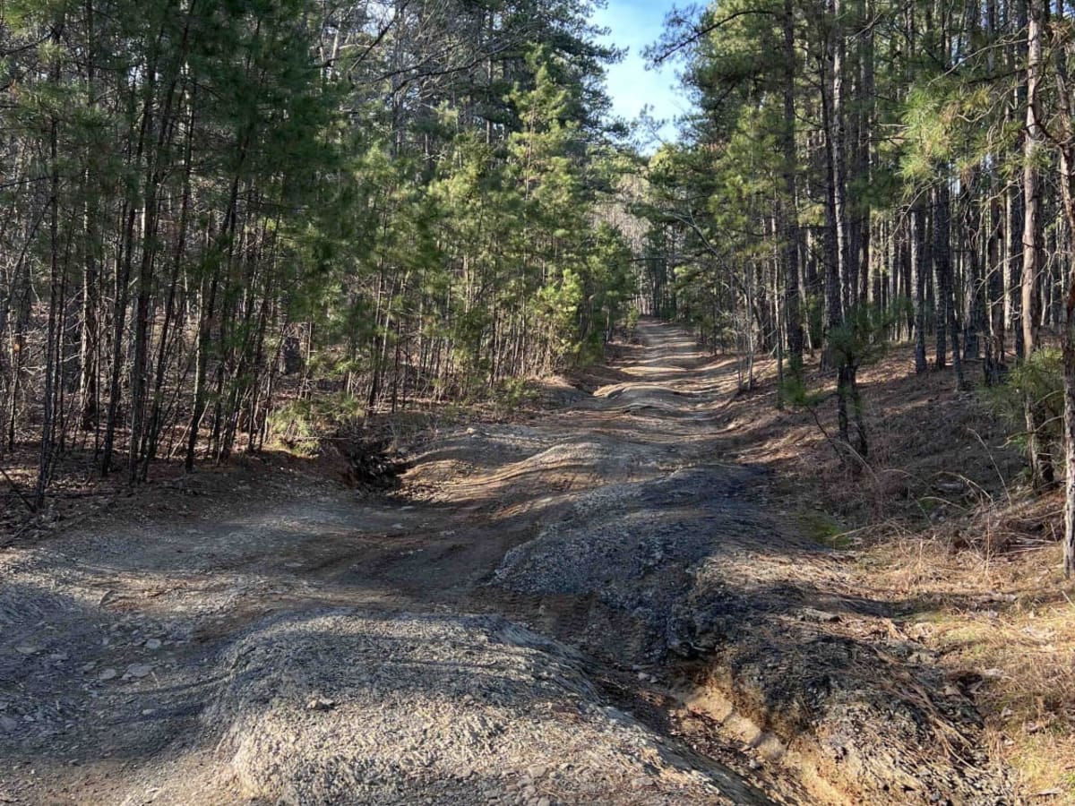 Wildcat Mountain 179 photo 2
