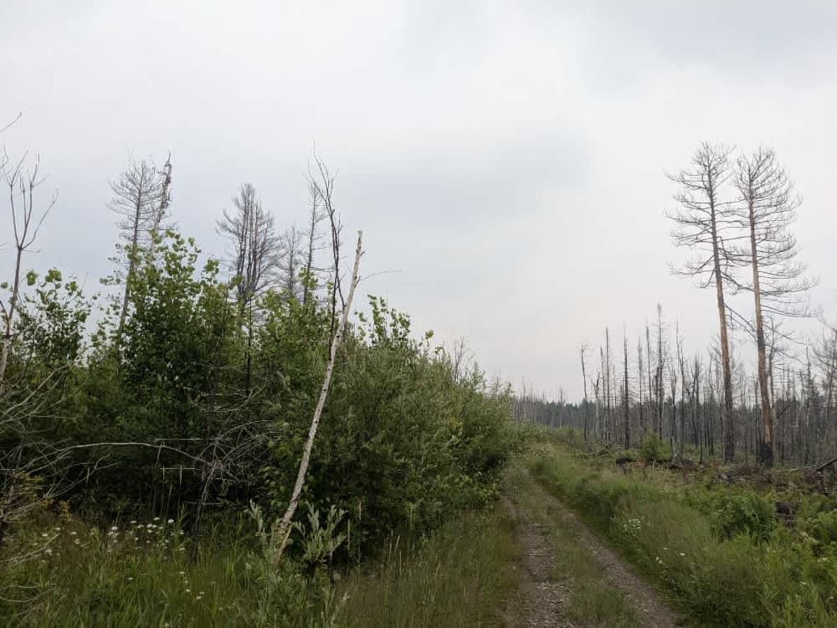 Stony Lookout photo 6