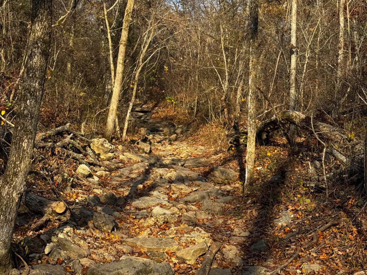 Rocky Road photo 6