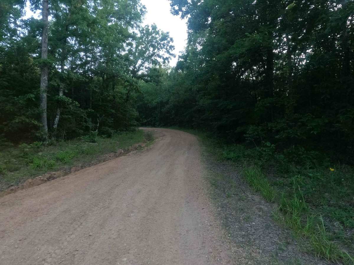 Arnett Mountain FSR 2191 photo 2