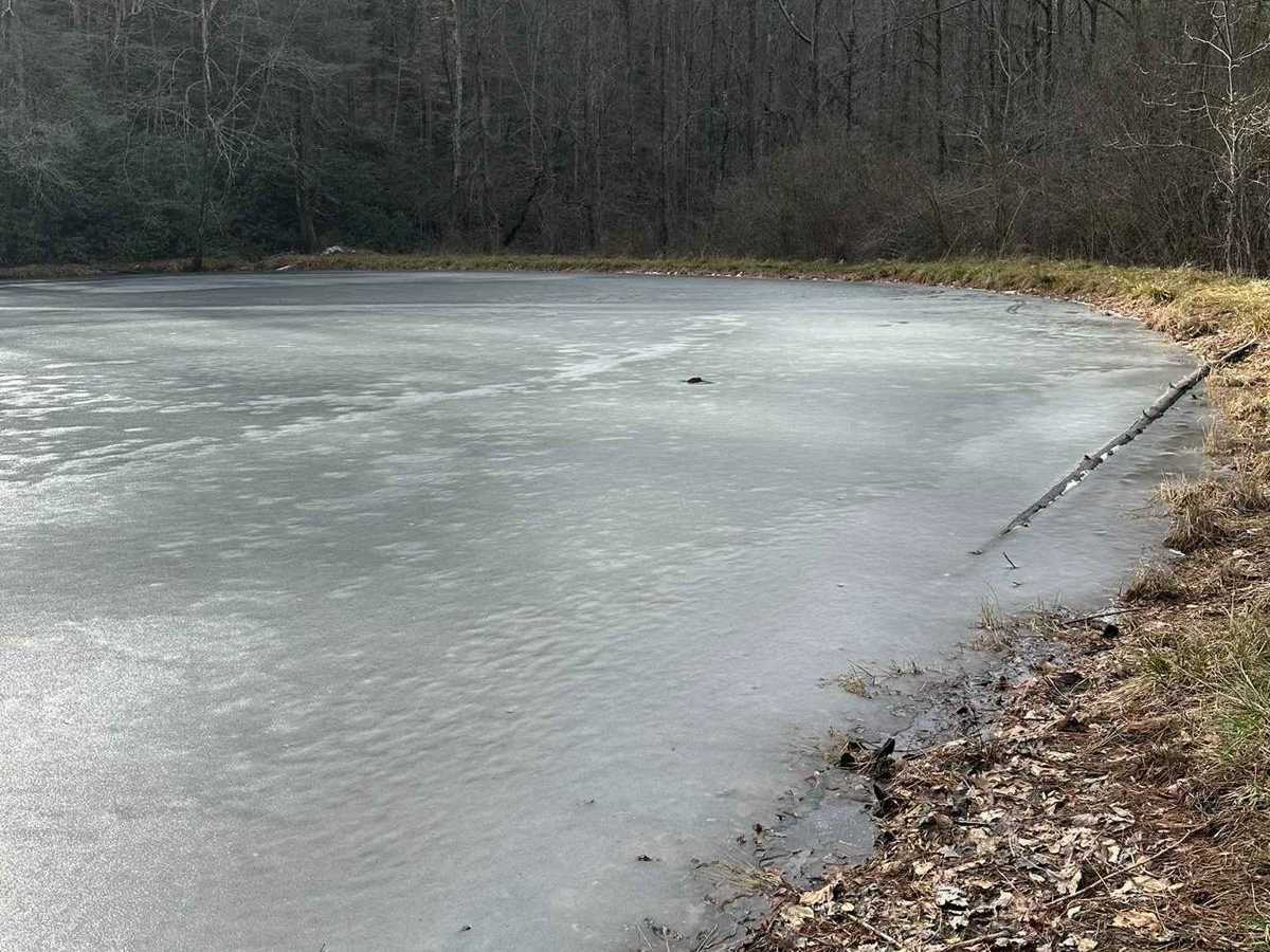 Paint Pond Trail photo 3