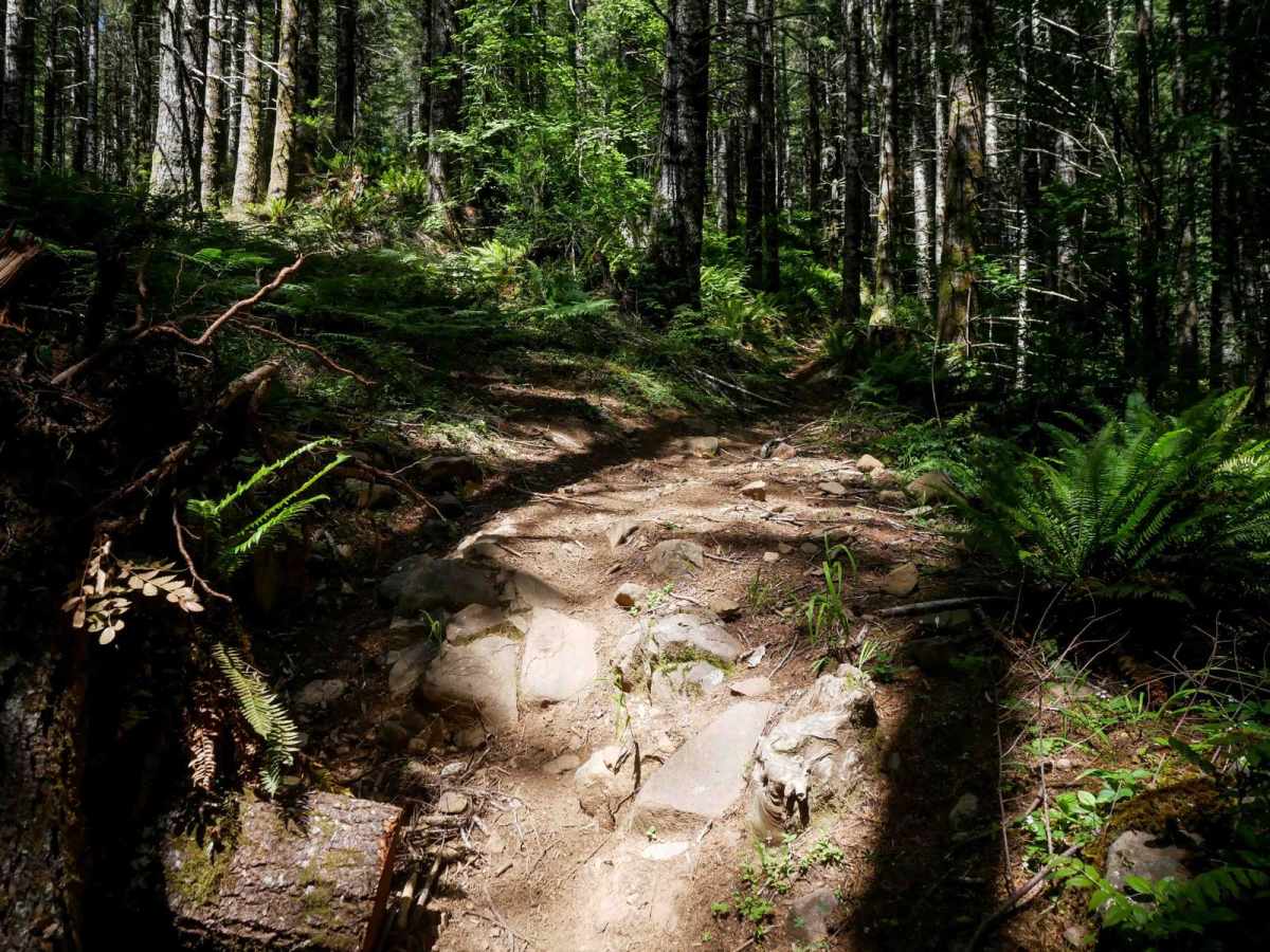 Buzzards Point #35 trail photo