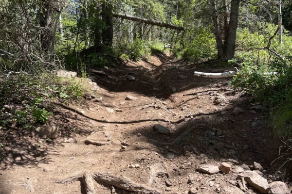 Mill Canyon (2040)
