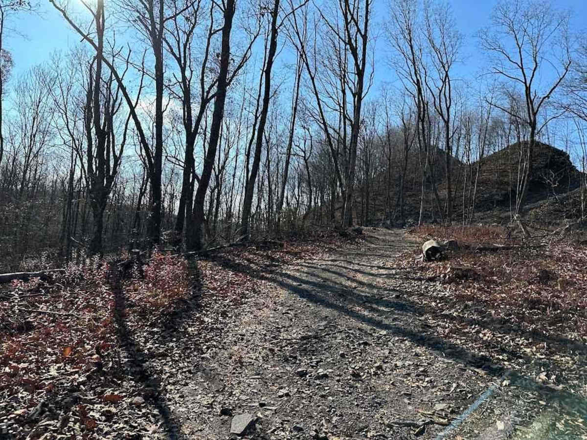 Darkwater 80 trail photo