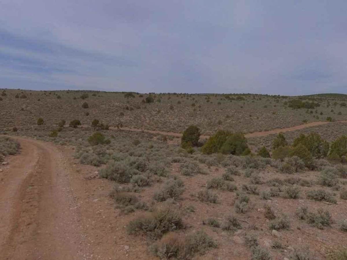 Dixie National Forest-FR31014 photo 6