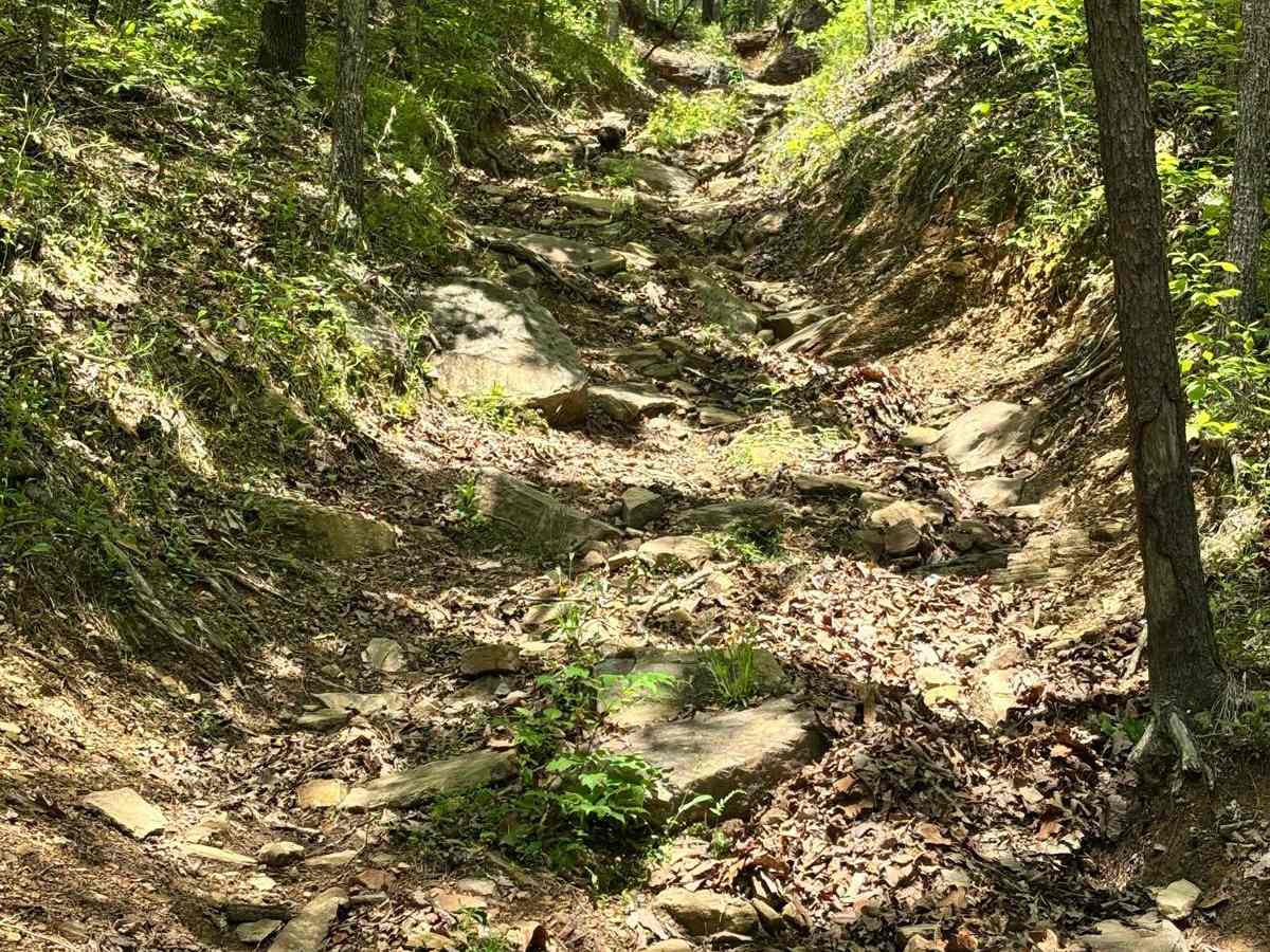 X-Wife trail photo