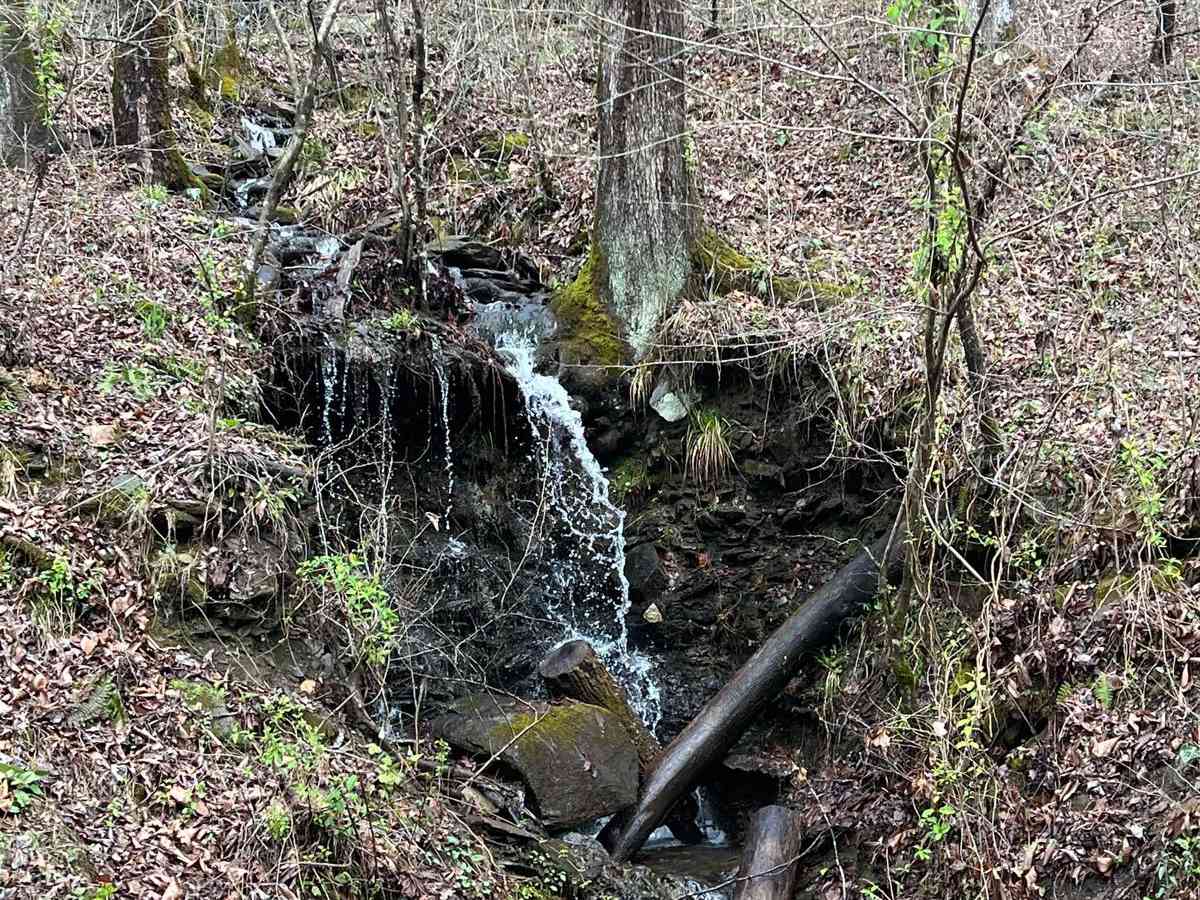 Shuler Creek photo 2