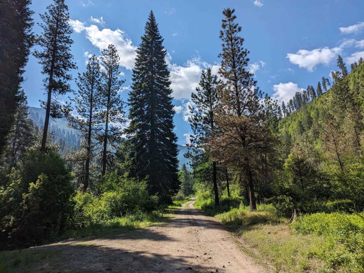 Ten Mile Creek Trail 531 (Hot Springs) photo 6