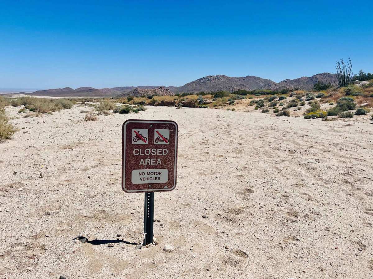Jojoba Canyon photo 6