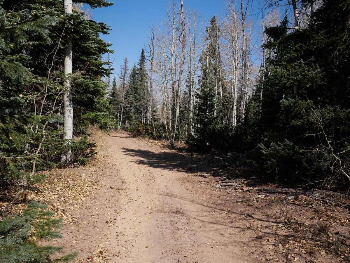 East Fork Dry Creek ATV Trail photo 4