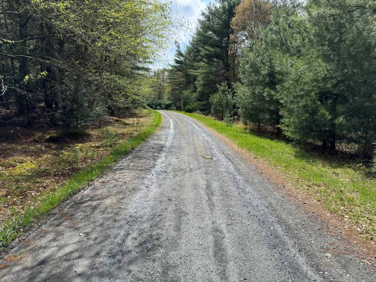 Hickock Brook Trail trail photo
