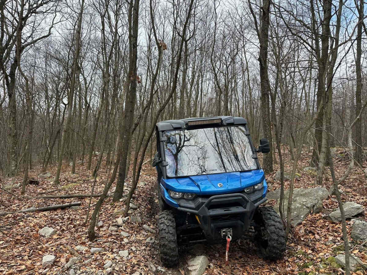 Locust Gap 53 photo 2