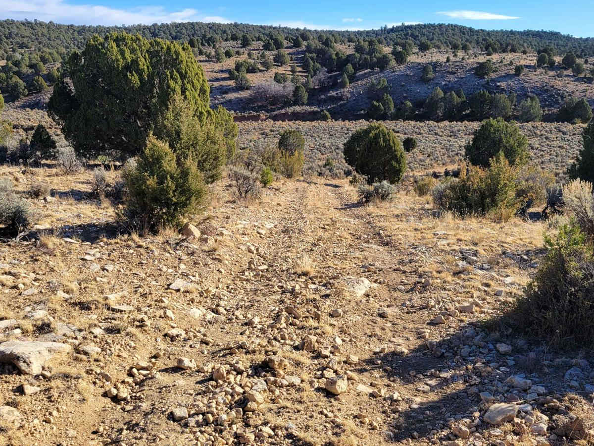 BLM 1649 trail photo