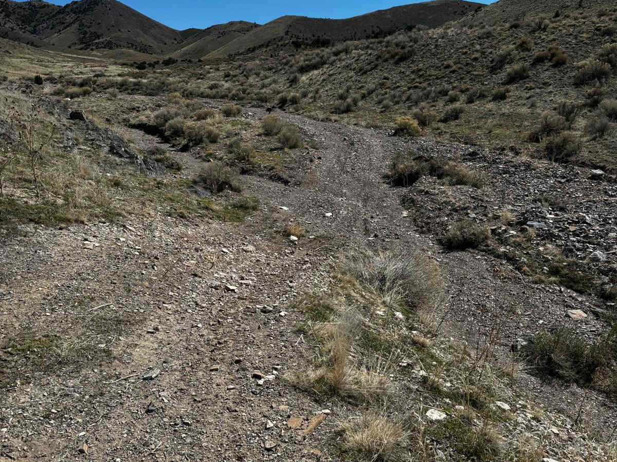Davis Mountain Loop photo 2