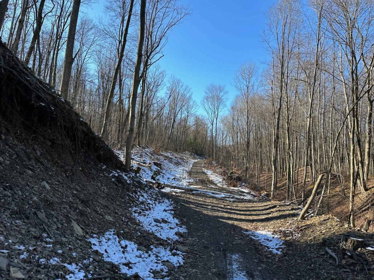 Locust Gap Single Track 7 trail photo